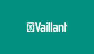Vaillant Work Overview